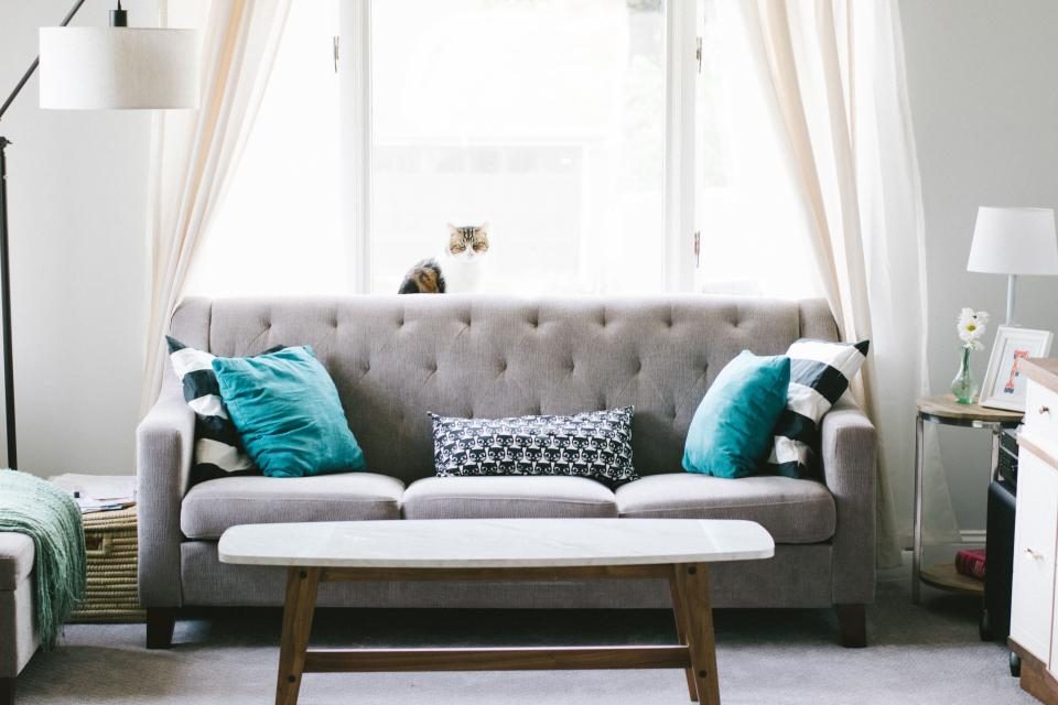A light-filled living room with a grey sofa